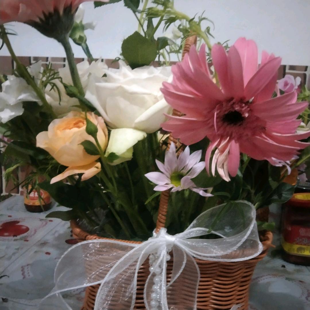 💕一切随缘💞