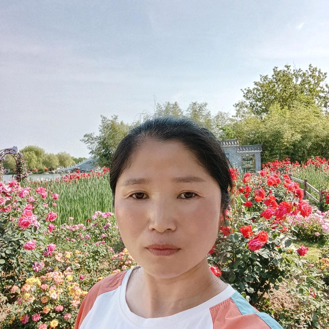 博发梅梅
