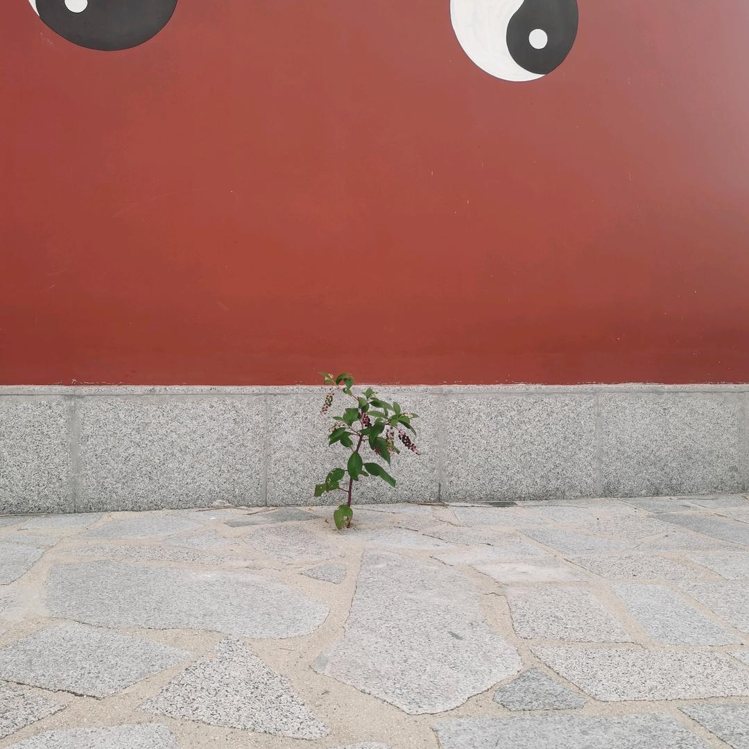 发财888