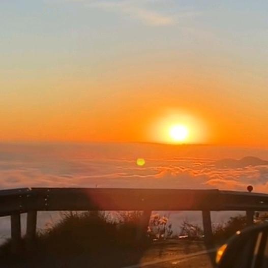 夏爽灿烂小跳跳