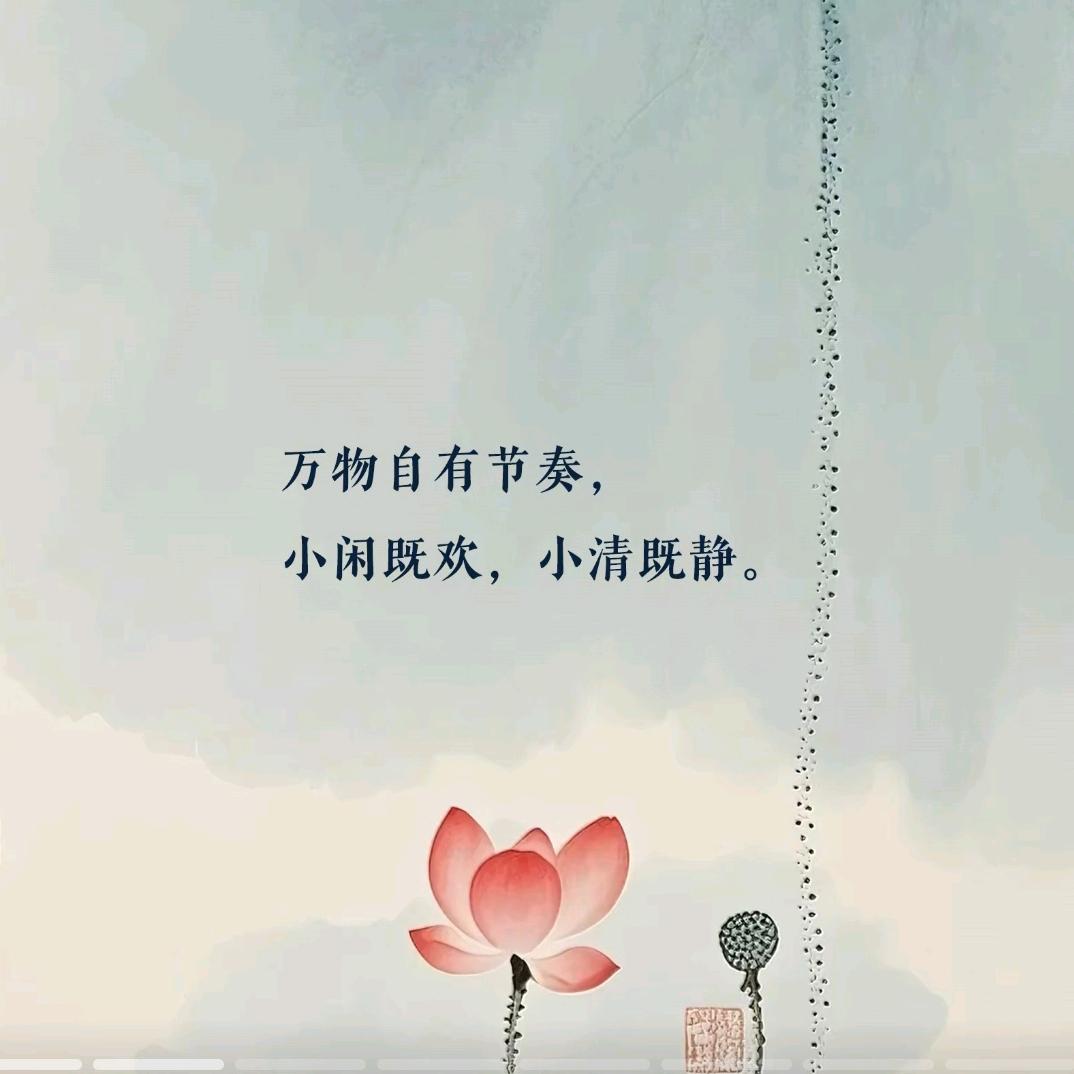 道缘🍬（小云）