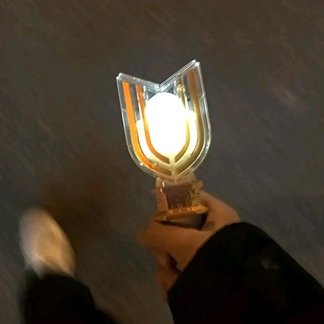 金铲铲糖醋Z（阿红庄园）