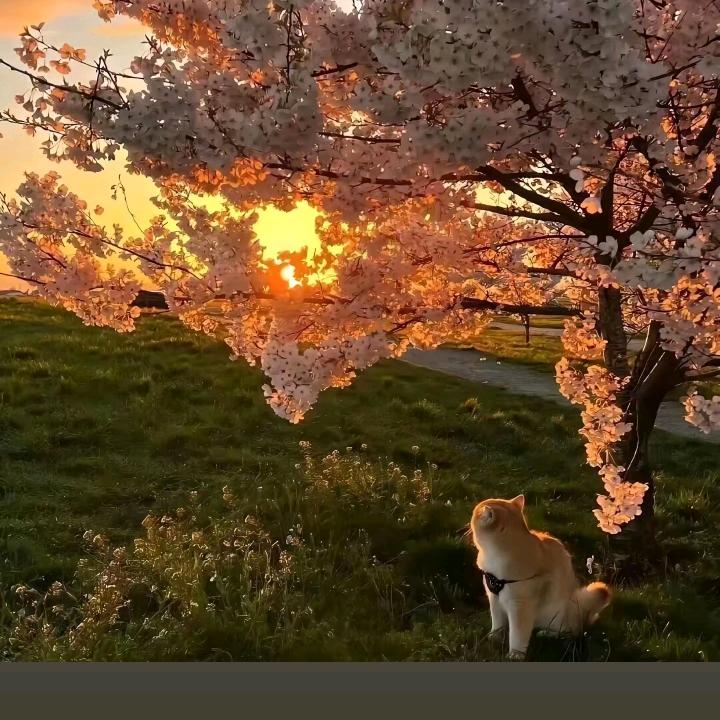 一个人生活