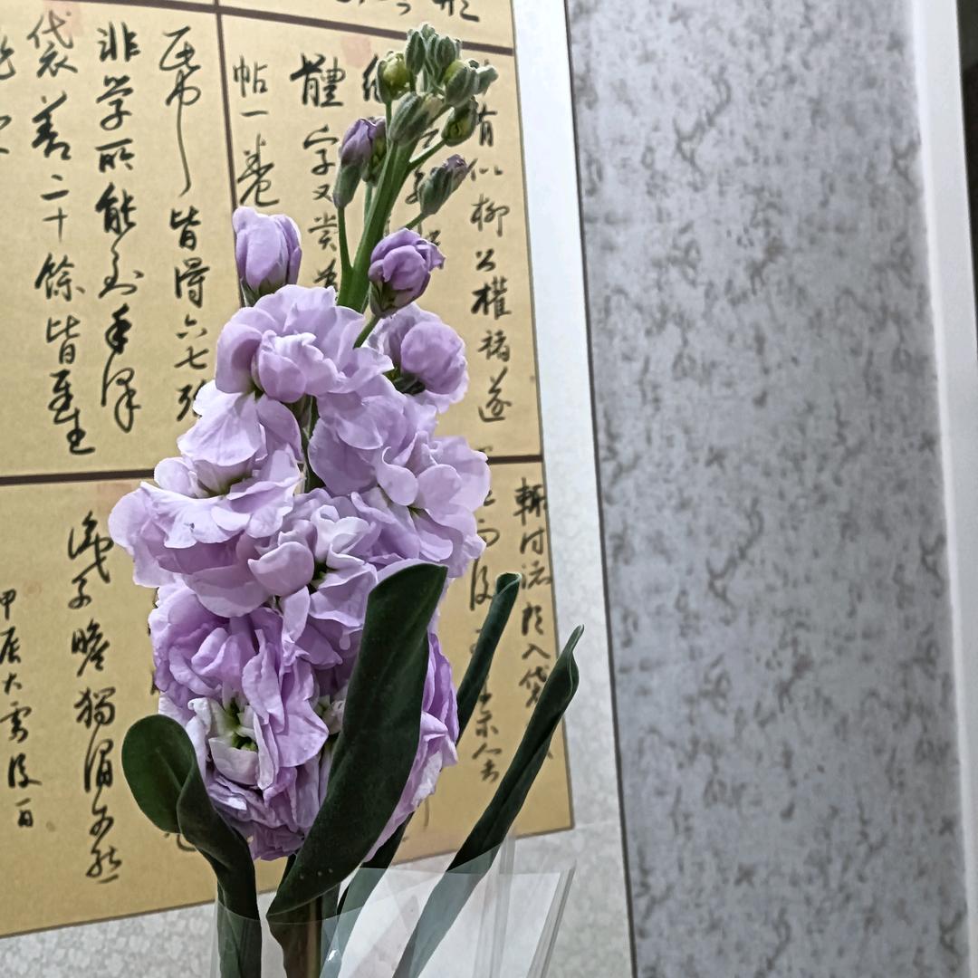 文儿妈