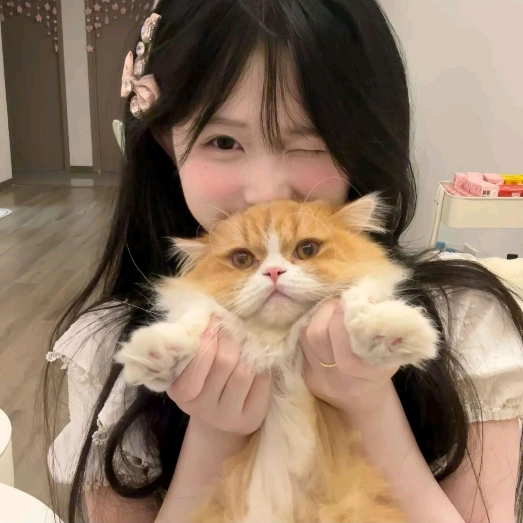 可爱的猫猫