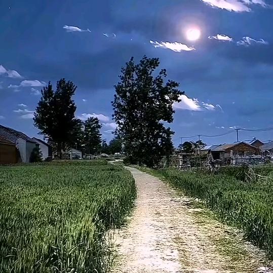 建筑水电