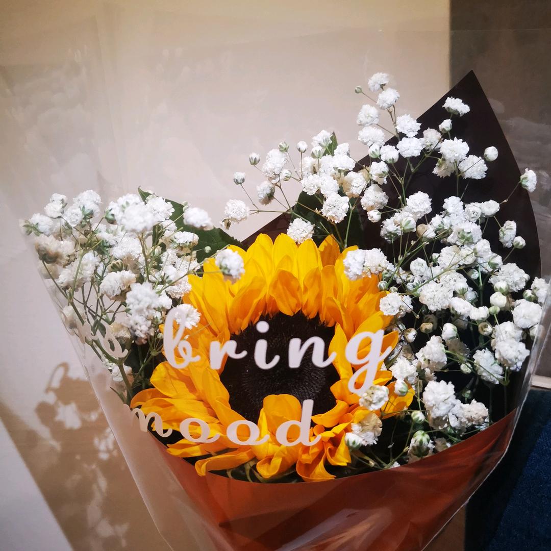 肉乎乎肉呼呼🍟