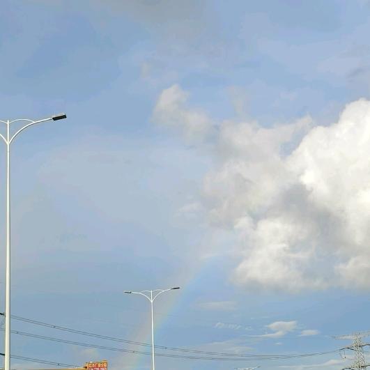 兔子学姐的养生日常