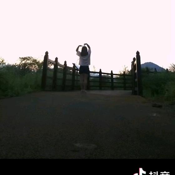 走走停停。一路向阳
