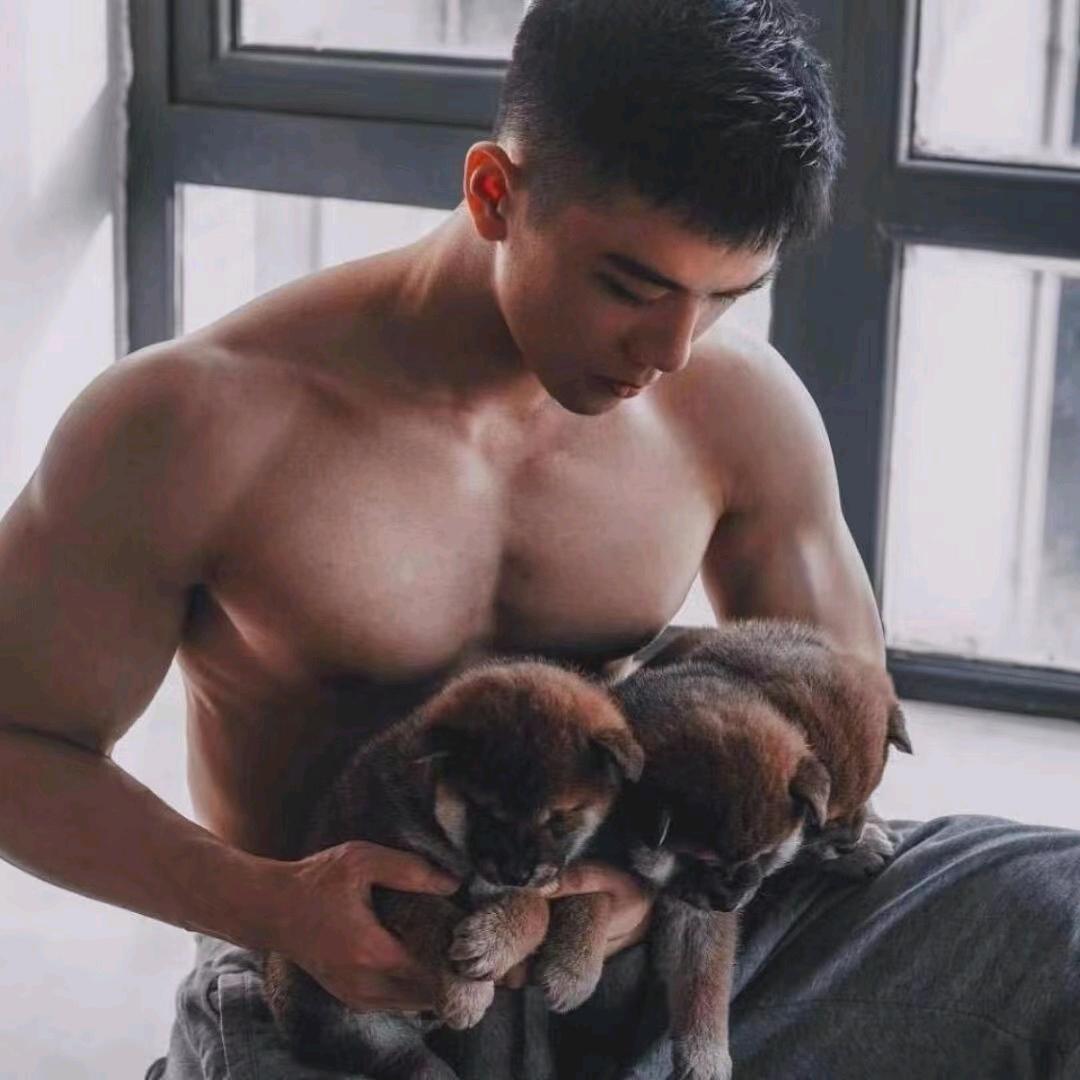 千浔y（金铲铲）