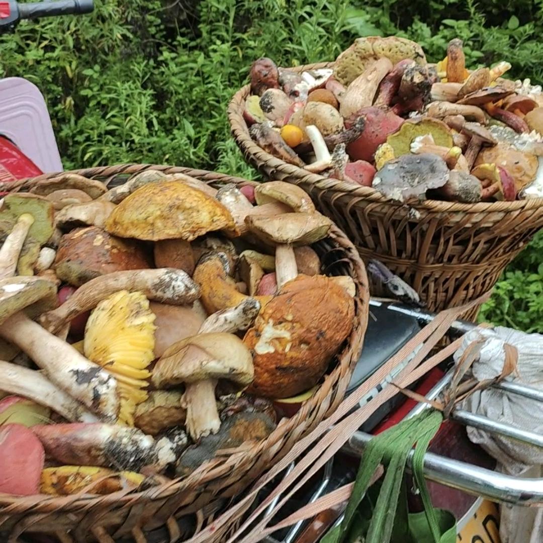 阿洪家的土货铺