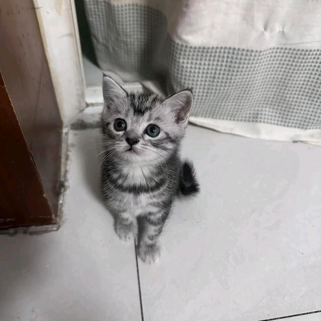 小蔚