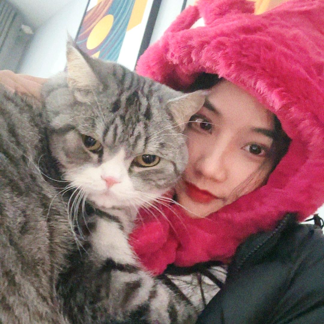 这只猪叫招财