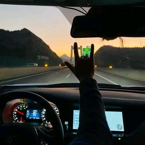 彩虹桥边的骏马