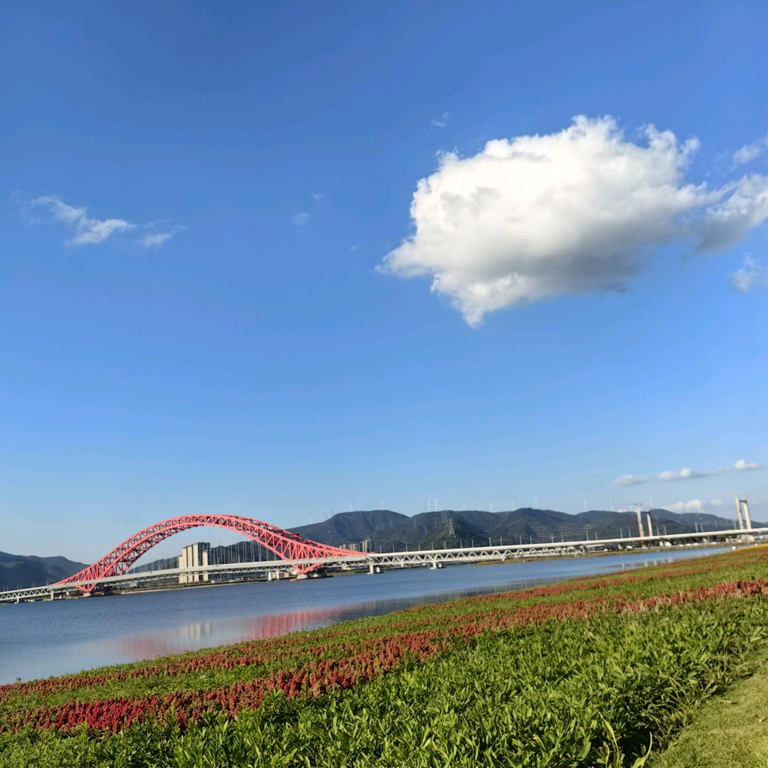 我爱我家