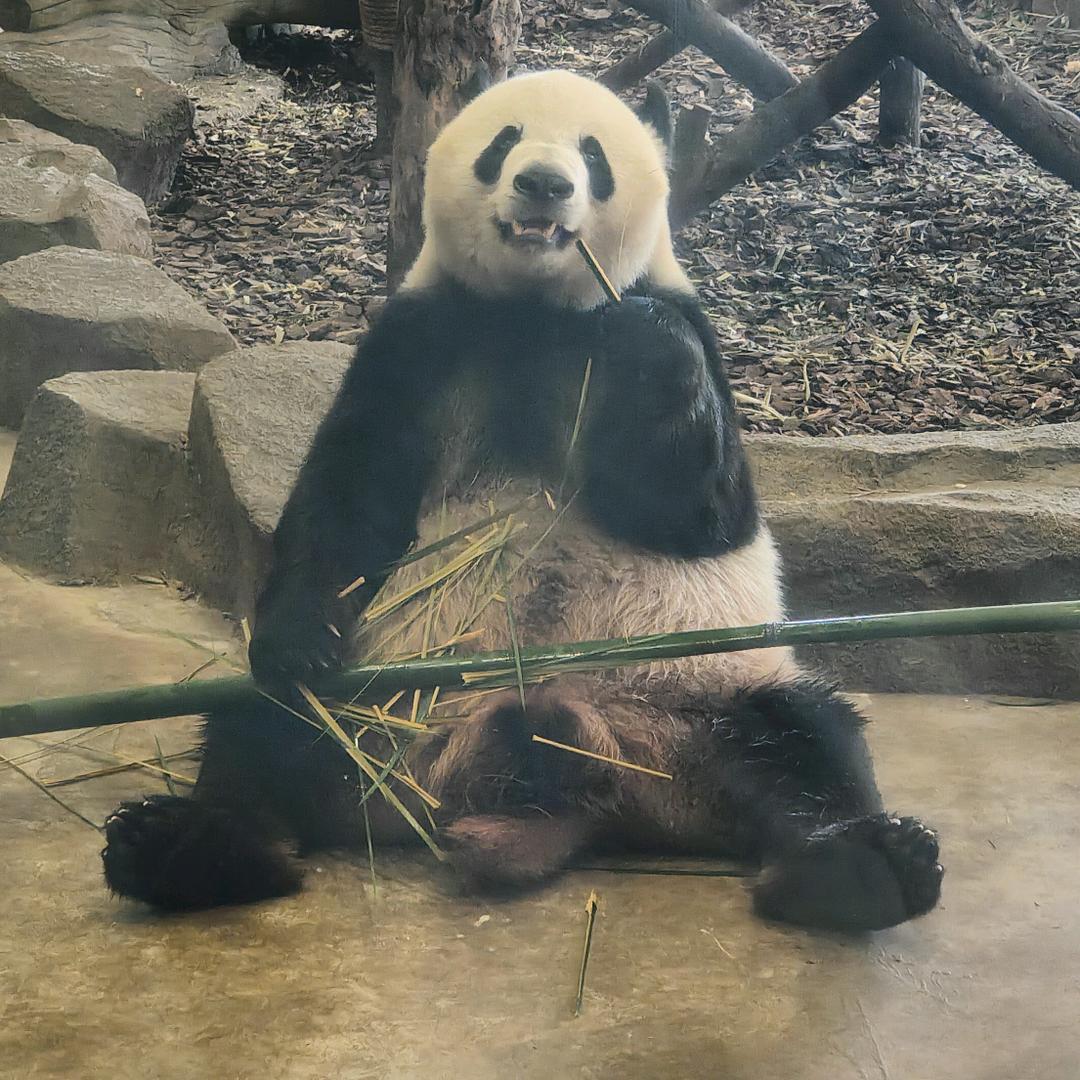 橘子灯