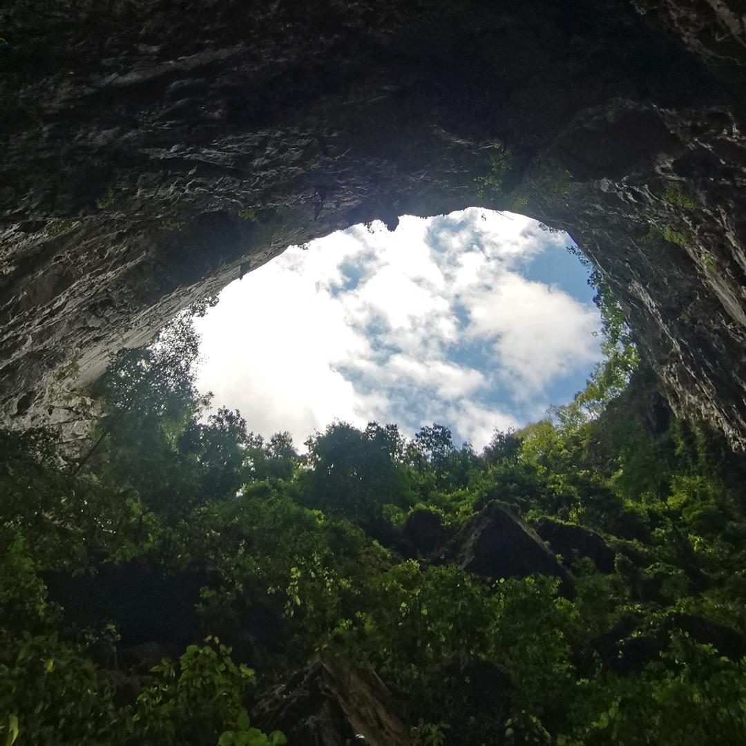 露露在陌生城市的生活