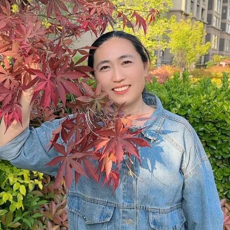 凤姐（浴火重生）