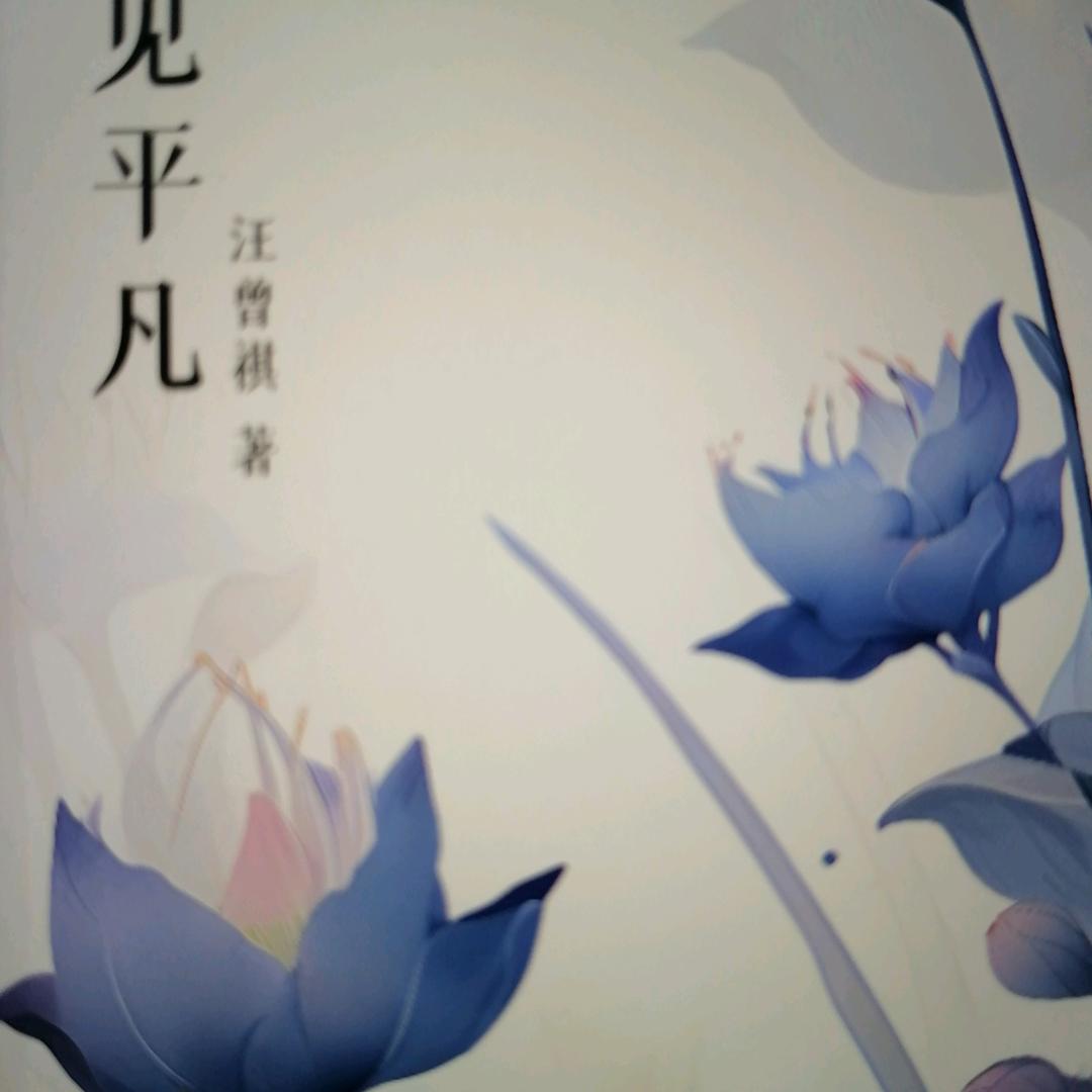 用户1383900168
