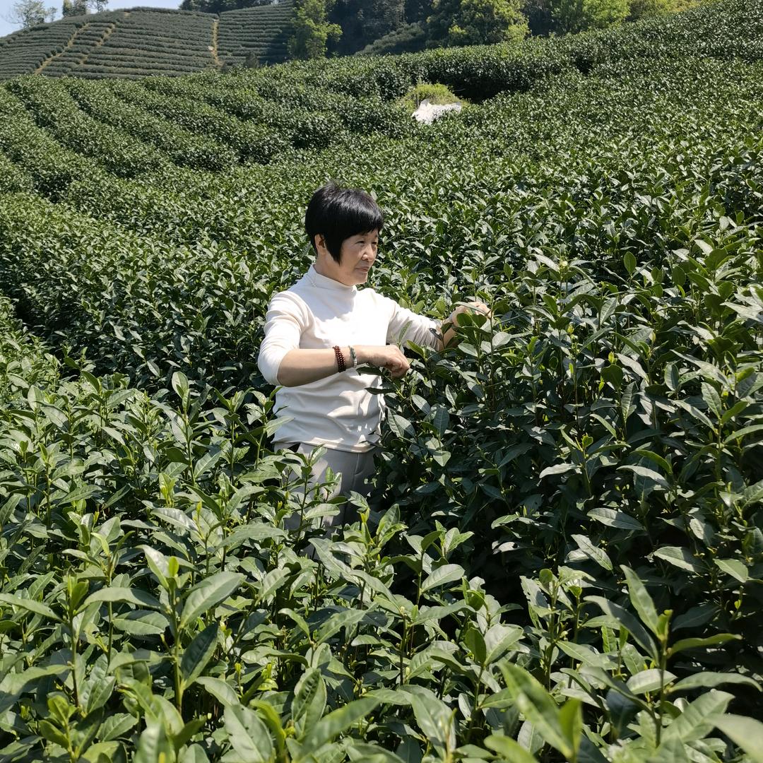 杨小妹2小号（大号晚上20点20）开播