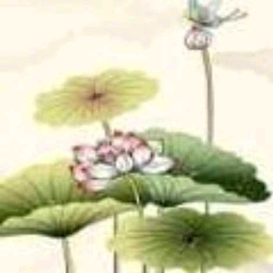 雨天阳光227