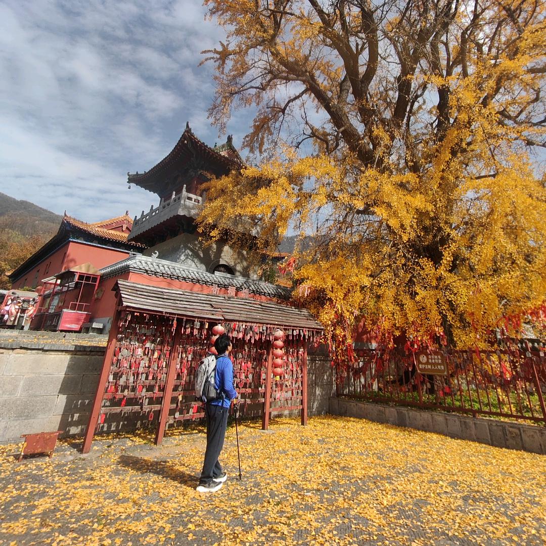 君重生（隆丰皮草）