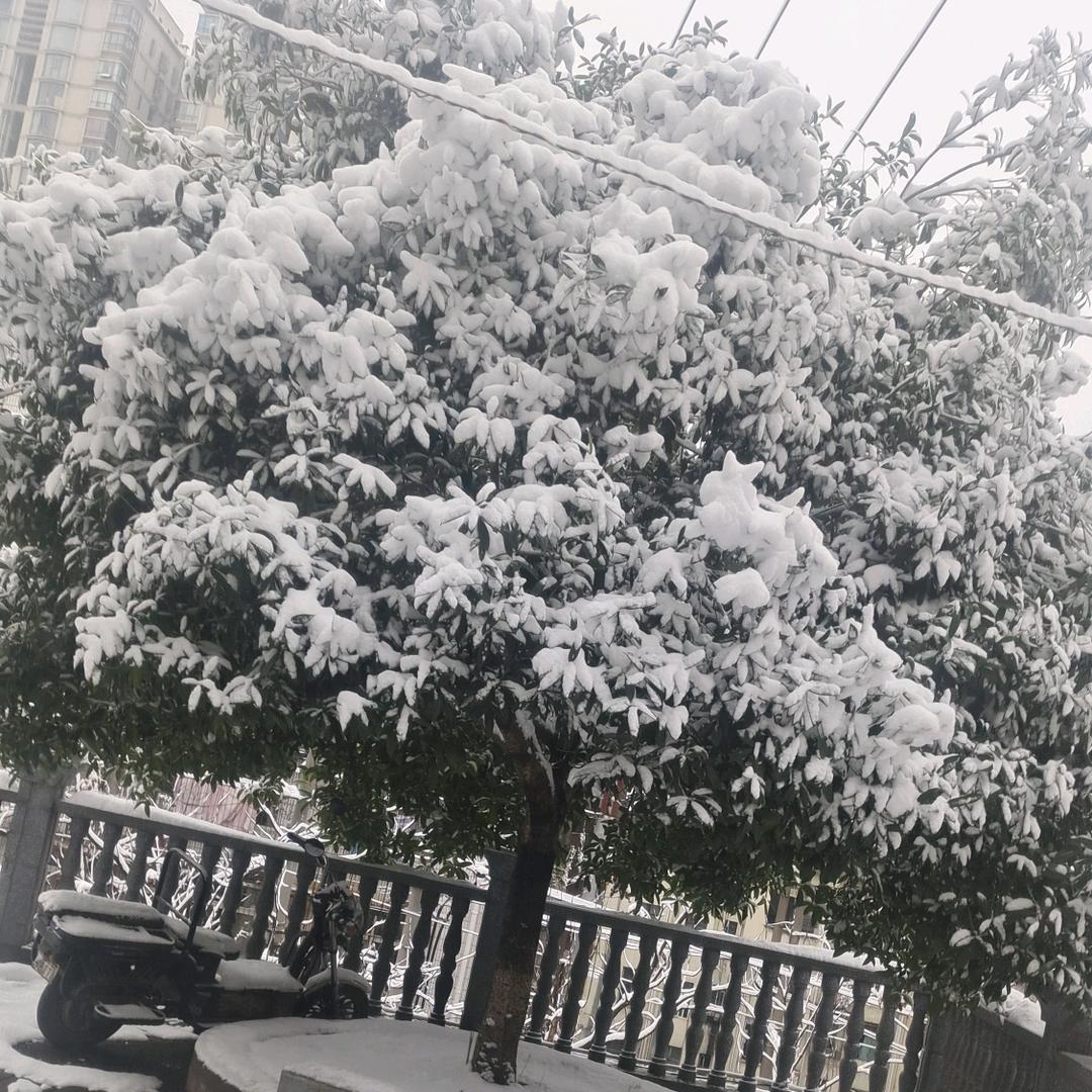 闲鱼快乐