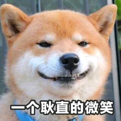 疯狂兄弟