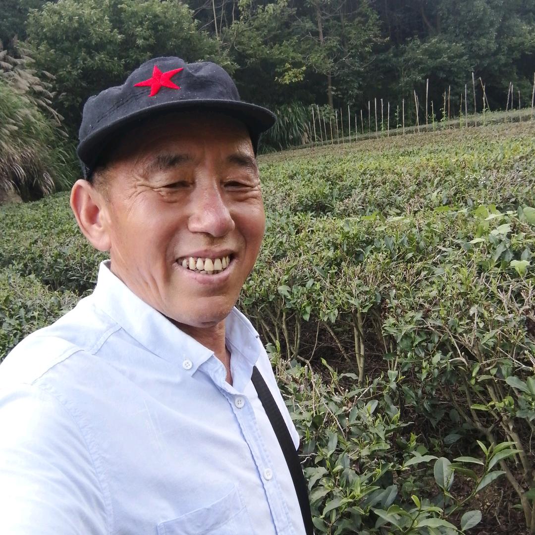 老东