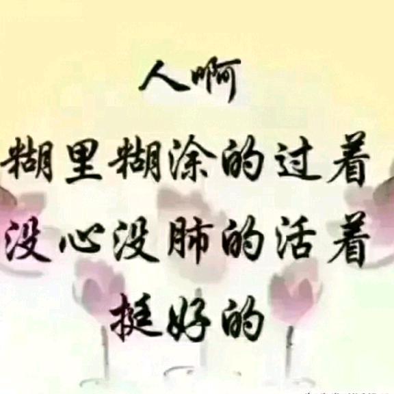 大雁南飞