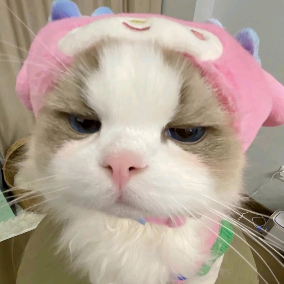 卡库伊哇🐟