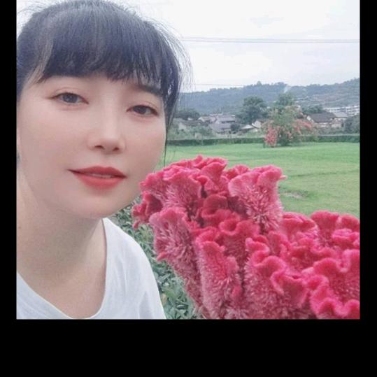 顾祖群烟花绽放