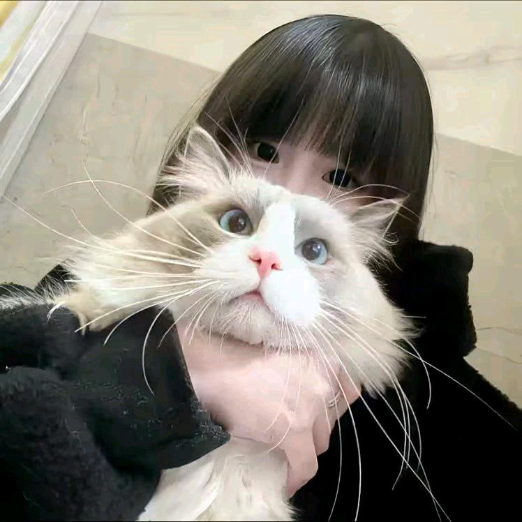 我只爱你