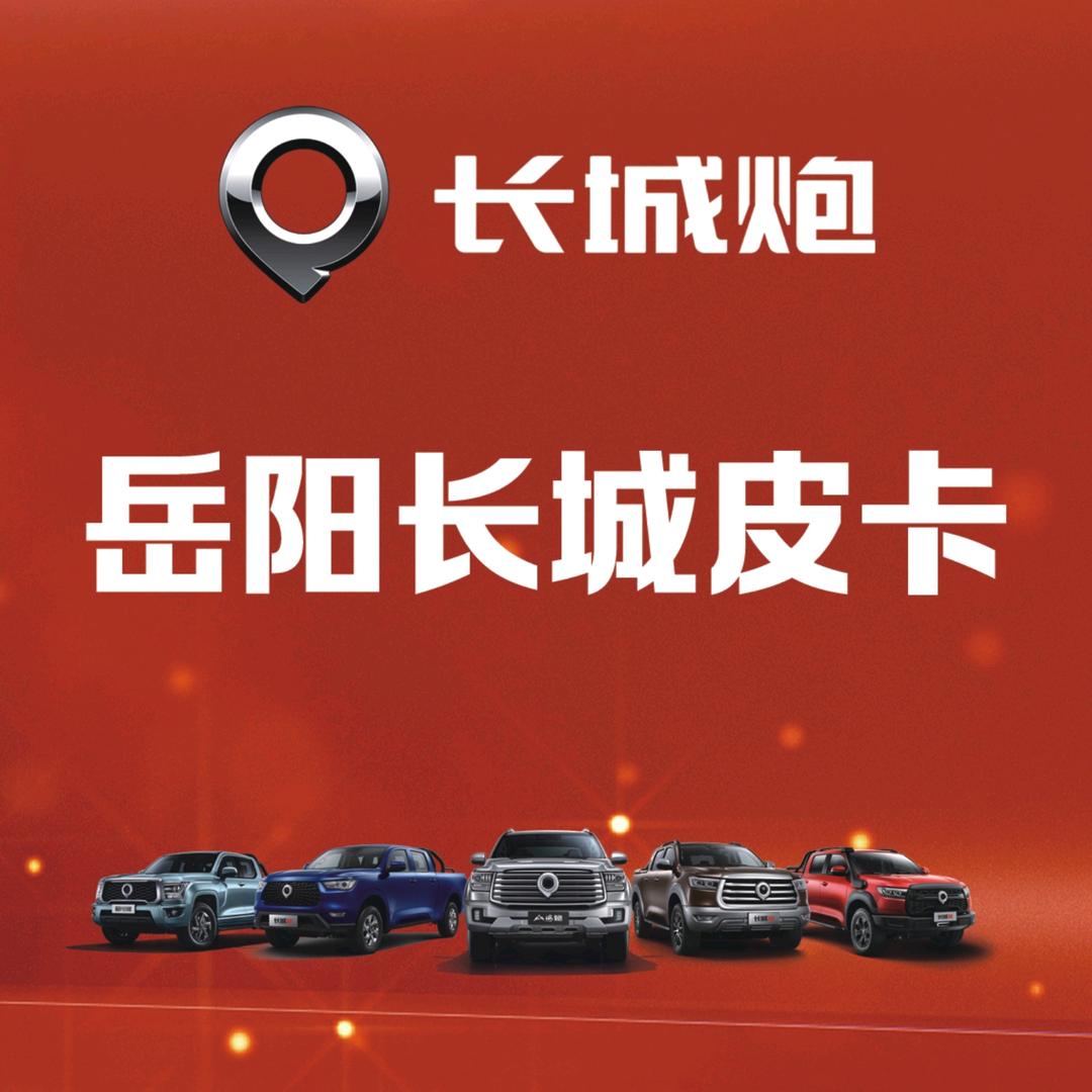 岳阳长城皮卡