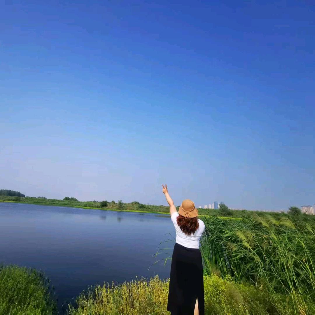 茶不思