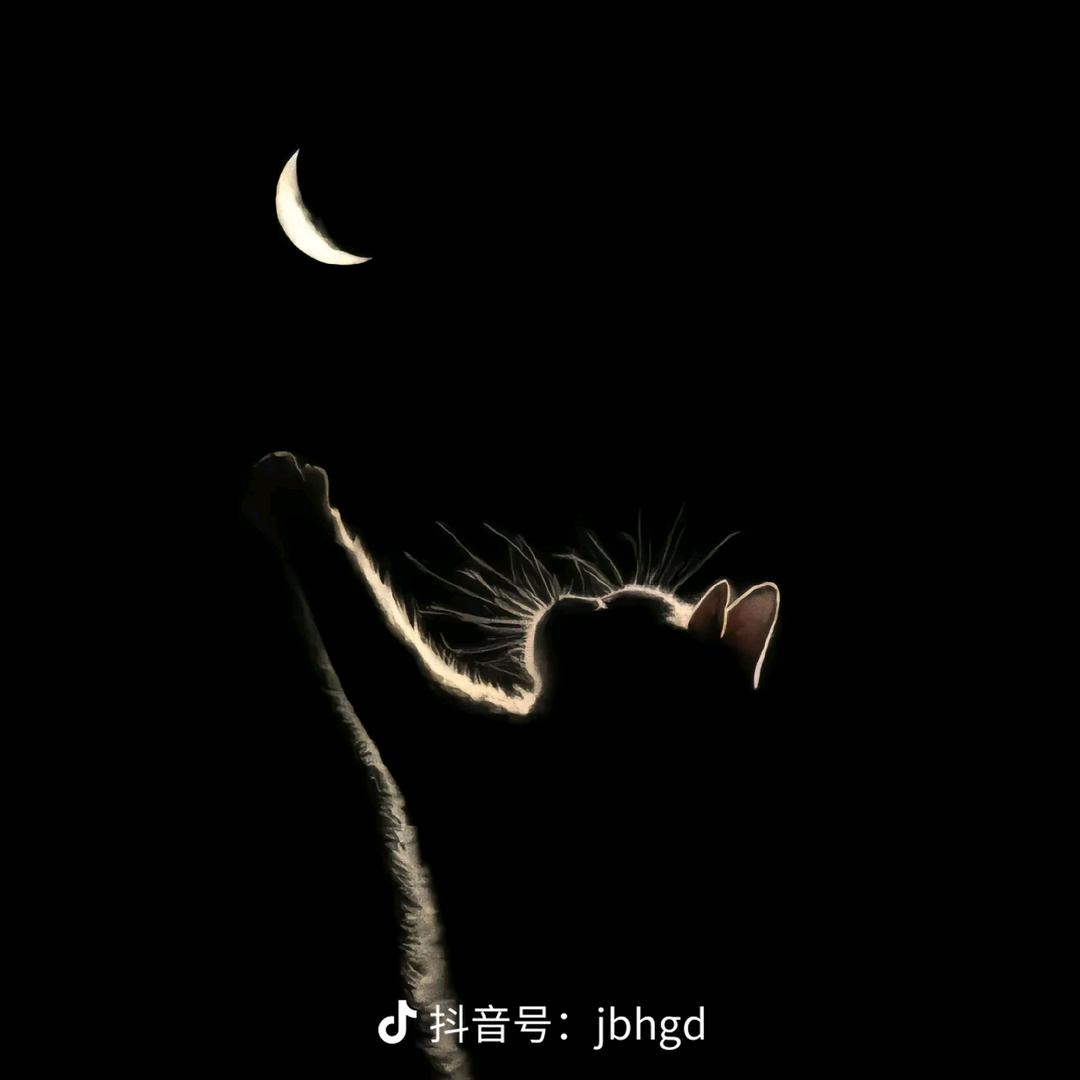 被窝里的文学家