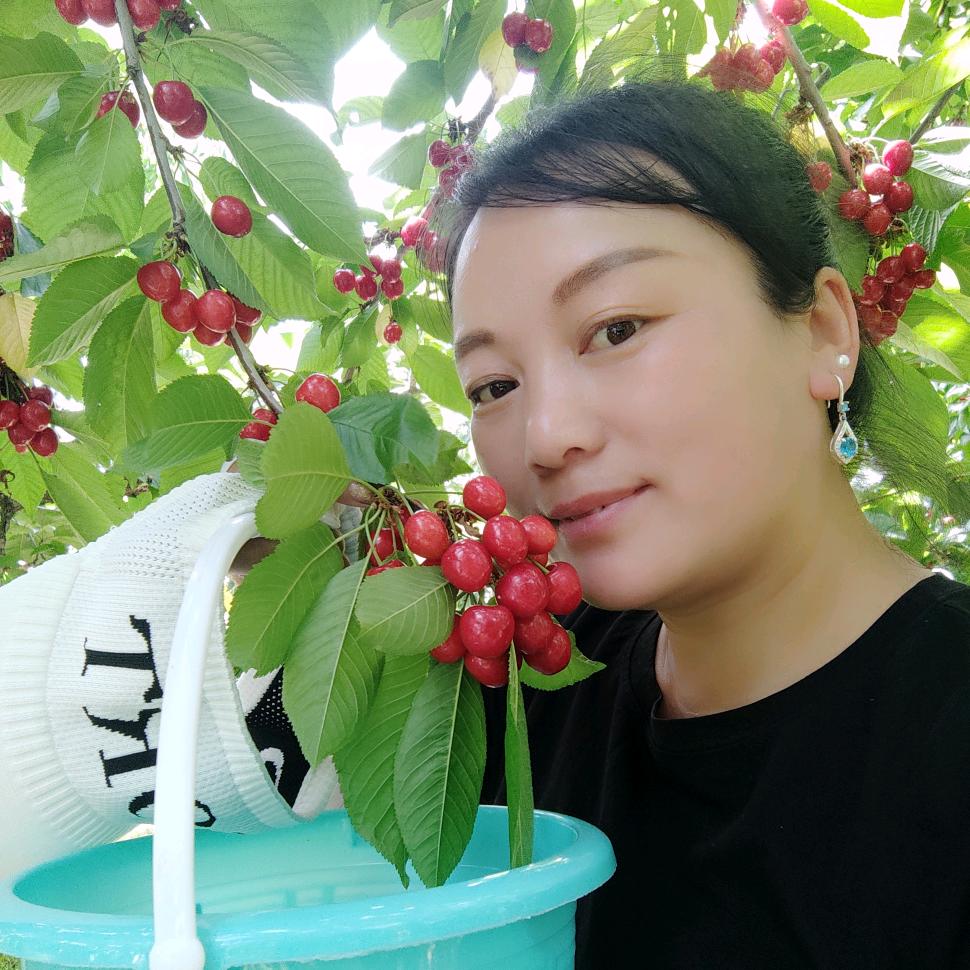 相思明月