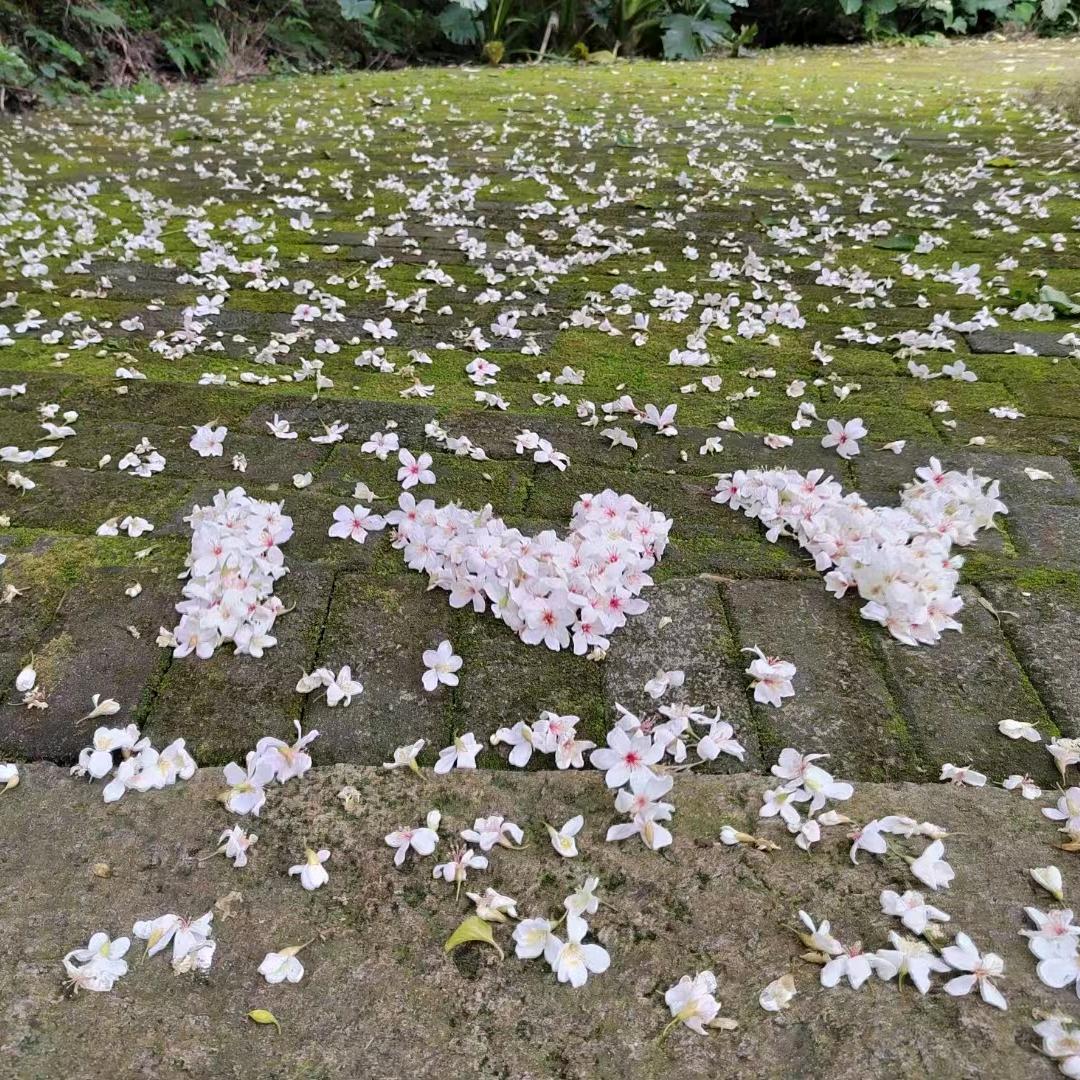 波涛汹涌