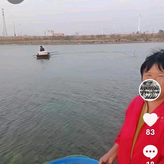 鱼跃