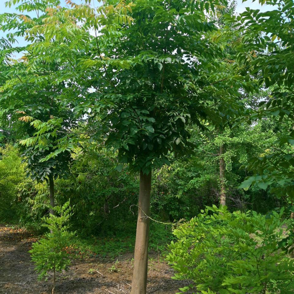 从心开始