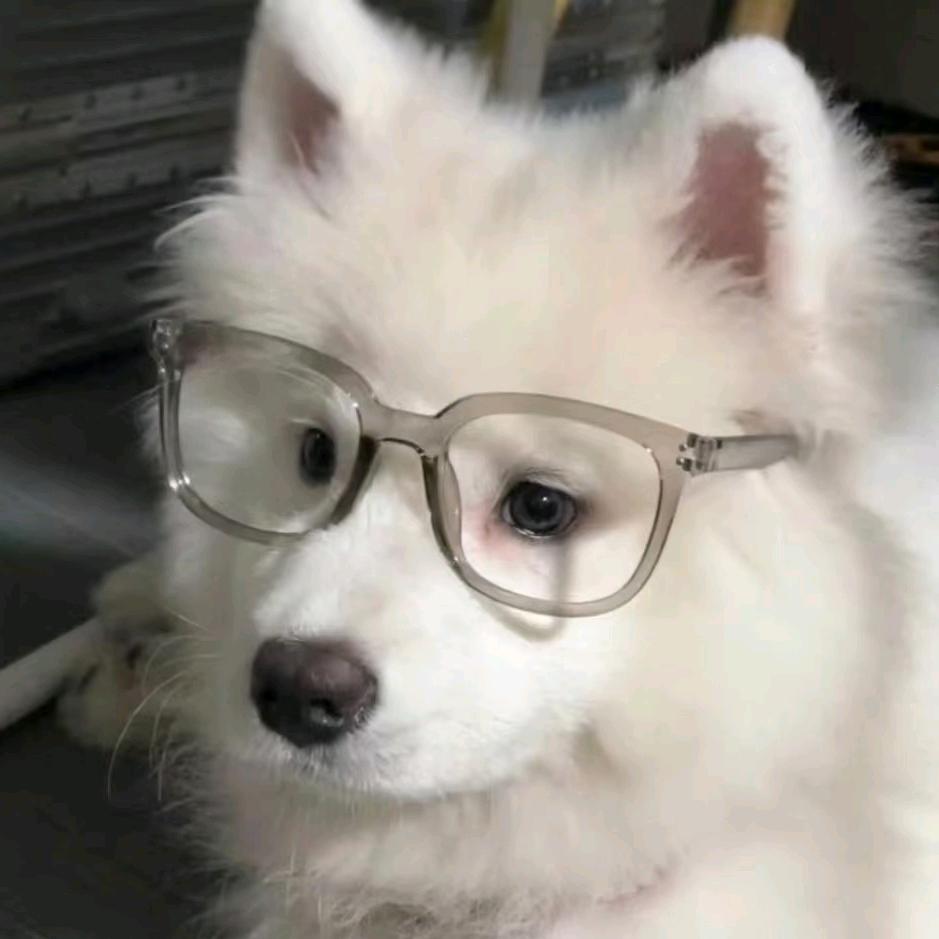 睡觉觉啦6