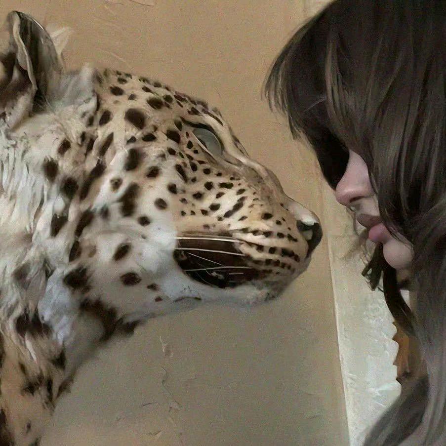 糖糖酥（48.7kg版）