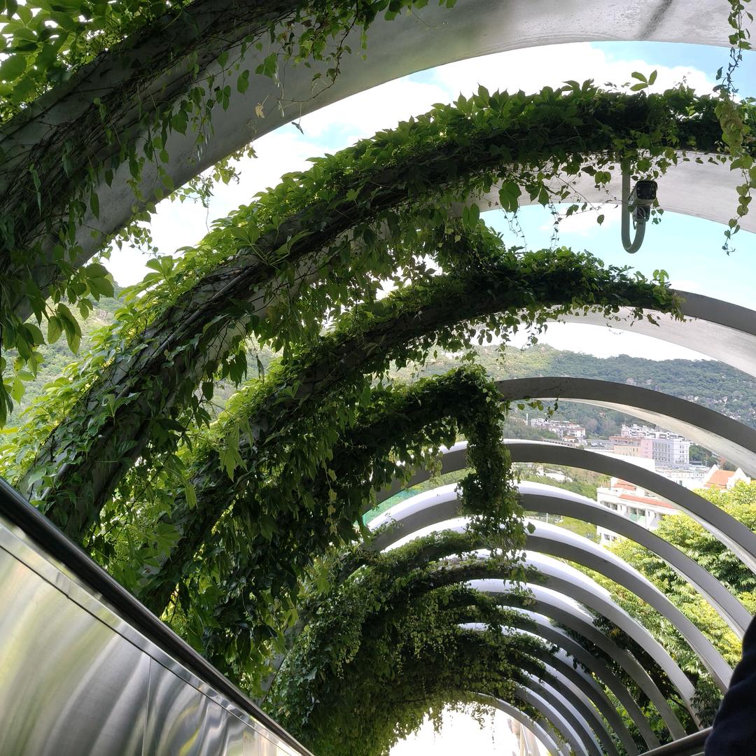 大竹荷花池竹时代超市