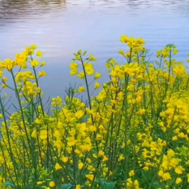 @微风不燥@阳光正好@