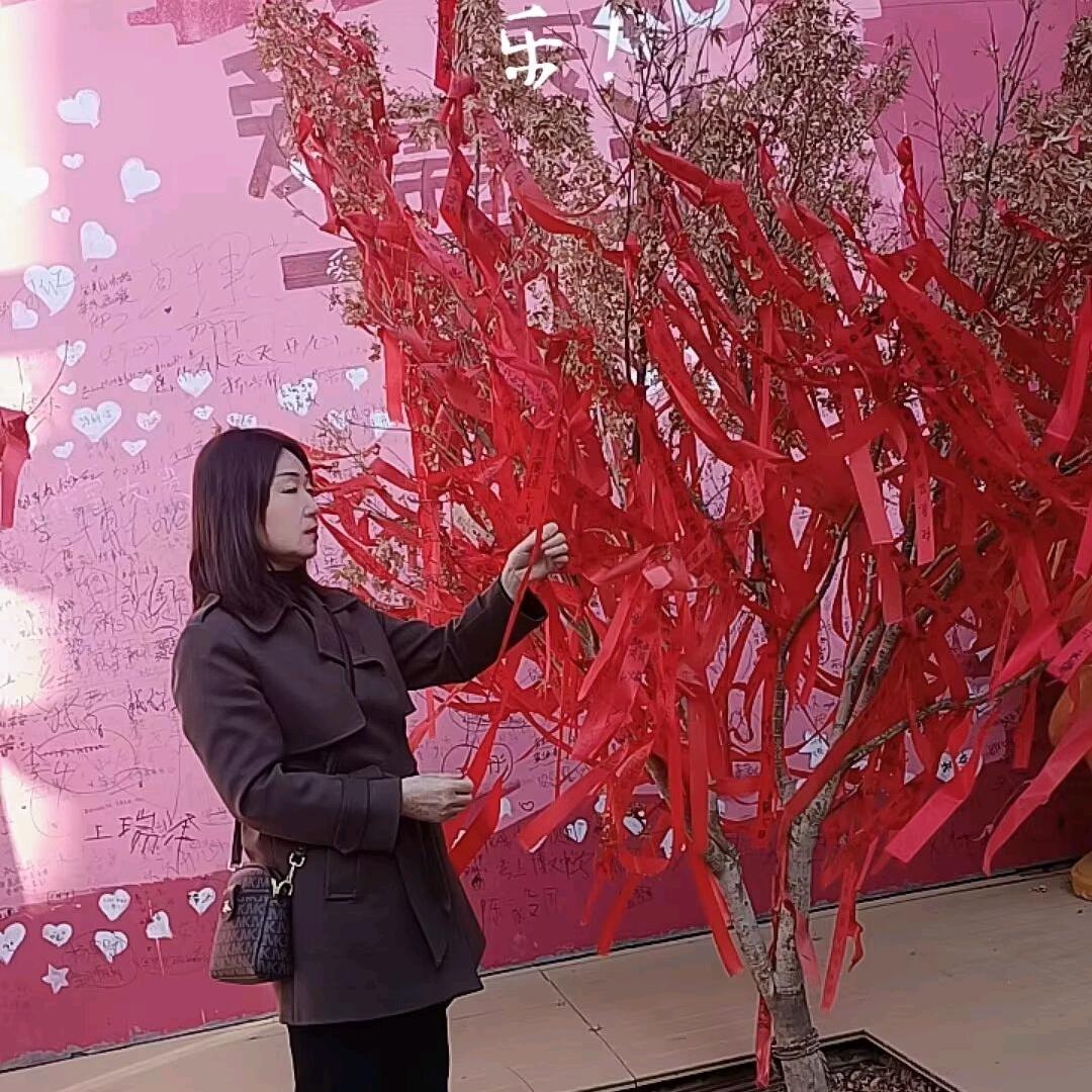 ✨樱子✨