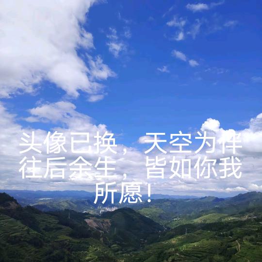 归还于✪ω✪人海
