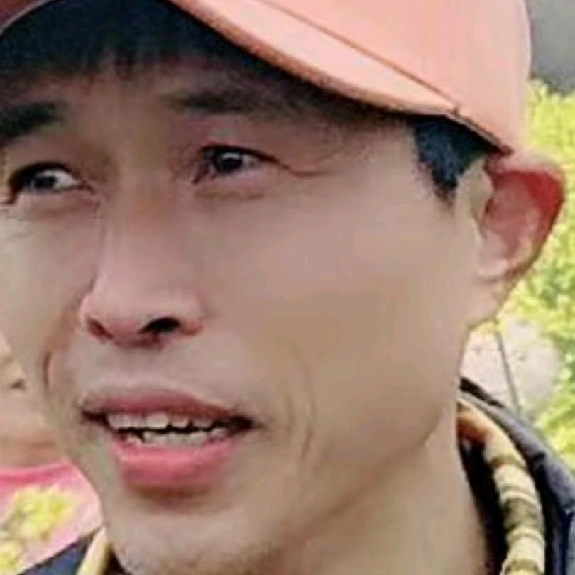 何舞歌