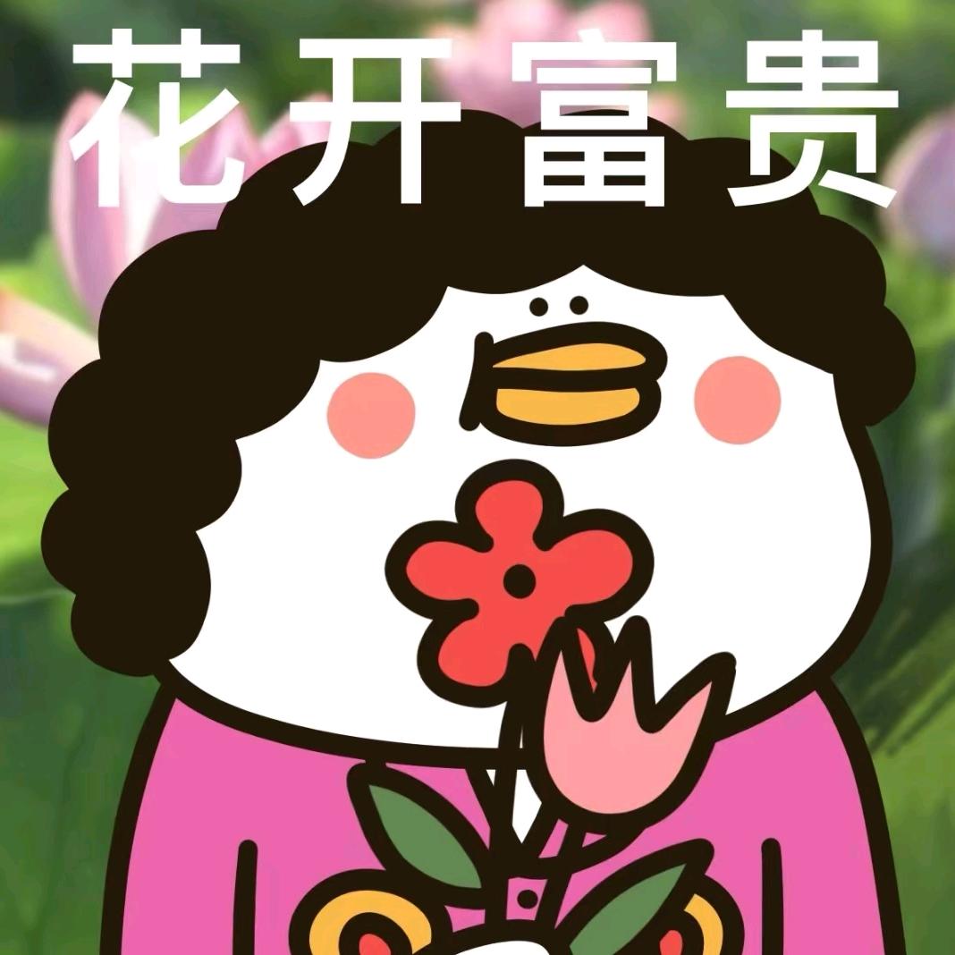 霞姐