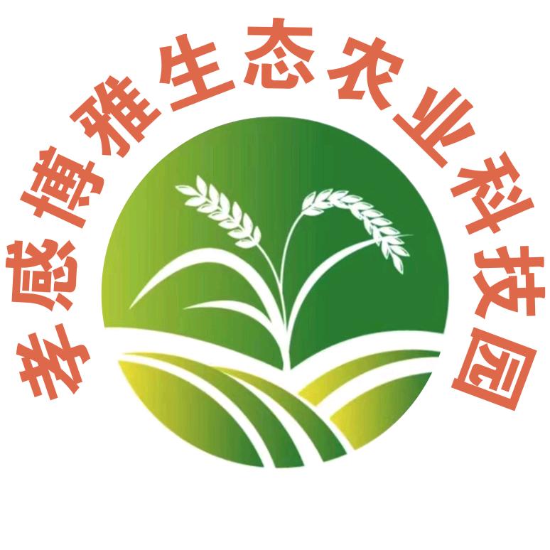 孝感博雅研学|自然教育