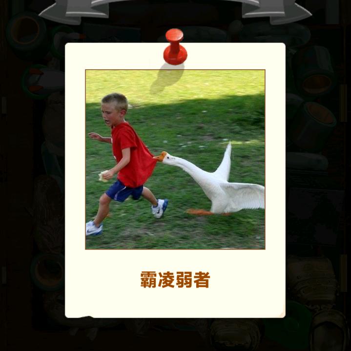 一个执着的小傻瓜